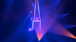 Alan Silva Flying Aerial Silks Circus Flic Flac [upl. by Ahsenak]