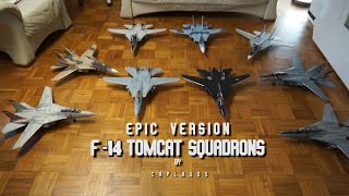 F 14 Tomcat Squadrons epic version [upl. by Melise44]