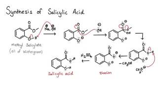 Mechanism  Converting Methyl Salicylate into Salicylic Acid [upl. by Haskins]