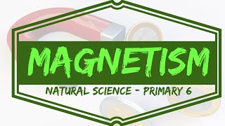 MAGNETISM and ELECTROMAGNETISM Explained 🧲  Magnetic Materials  Electricity   Grade 6 [upl. by Westberg307]