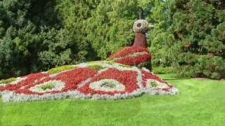 Mainau  Bodensee  Blumenwalzer [upl. by Arrad]