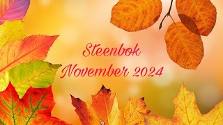 Kaartlegging voor het sterrenbeeld Steenbok  November 2024 ♑️ [upl. by Haniraz]