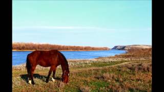 Chant cosaque  Дон [upl. by Hennie552]