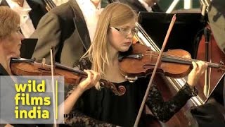 Trumpet Concerto Haydn 1st movement by Andreas Ottl [upl. by Chanda460]