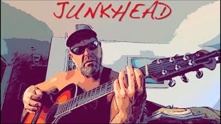 Junkhead  Alice In Chains Solo Acoustic Guitar Cover 🎸 🥄 💉 💀 🔥 [upl. by Sualakcin]