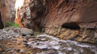 Exploring Zion National Park and Bryce Canyon [upl. by Adham356]