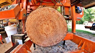 Turning Trees into Money on the Sawmill [upl. by Nadab700]