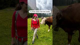 Playing oboe for the cows in the Italian Alps [upl. by Blayne305]