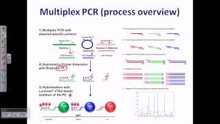 Multiplex PCR [upl. by Thoer]