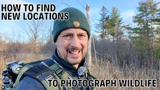 What to look for when Finding NEW locations for Wildlife Photography  Canon R3 amp 1DX MK III [upl. by Wakeen]