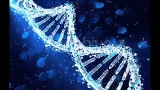 DNA Structure  Explained in Tamil [upl. by Forward]