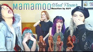 Mamamoo quotWind Flowerquot MV Reaction With AUY IMPORTANT UPDATES AT THE END [upl. by Rich]