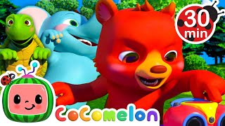 How to Animal Freeze Dance  CoComelon Animal Time  Learning with Animals  Nursery Rhymes for Kids [upl. by Aiht]