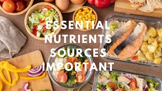 6 Basic Essential Nutrients their Sources and their Important [upl. by Ayrotal]