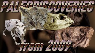 PALEODISCOVERIES from 2009 [upl. by Ahseikan]