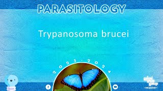 L3 part 1 African trypanosomes African sleeping sickness Parasitology [upl. by Akienat]