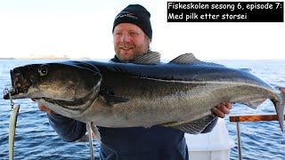 Fiskeskolen sesong 6 episode 7 Med pilk etter storsei [upl. by Mathis540]