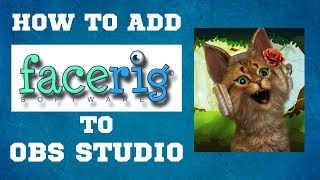 How to Setup Facerig in OBS Studio for Content Creation [upl. by Ellynad]