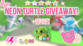 ✨NEON TURTLE GIVEAWAY✨ More💗🫶 [upl. by Fiske582]