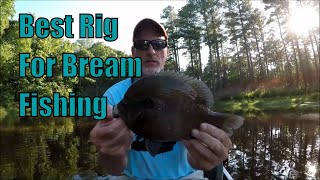 The Best Live Bait Rig for Bream Fishing   Panfish Fishing [upl. by Linkoski902]