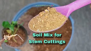 SOIL MIX for Stem CuttingsHenna cuttingpropagationTelugu gardener with arts chikkudusweet potato [upl. by Winther876]