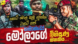 කොටියාගේ මොළ කුඩු පට්ටම් කල කමාන්ඩෝ මෝලාගේ බිහිසුණු මතකය  WANESA TV [upl. by Nonnag955]