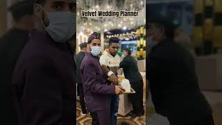 Best Wedding planner in Chandigarh 8559059292 bestweddingplannerinchandigarh punjabi shorts vira [upl. by Ewen]