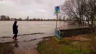 DÜSSELDORF KAISERSWERTH HOCHWASSER 2018  TAG 2 VLOG  DER PEGEL STEIGT [upl. by Noswad]