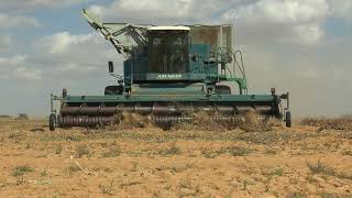 Amadas 9900 CDS peanut harvester turning on headland in South Africa [upl. by Einnaj]