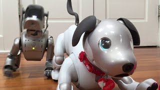 Aibo Robot Pet Dog  All Of Its Engineering SECRETS [upl. by Enilada]