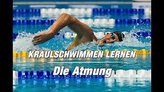 Kraulschwimmen lernen  die Atmung 2er oder 3er  SWIMAZING UNIVERSITY [upl. by Story]