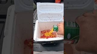 How To Make Cheap Easy Carp Bait Fast Fishing Carp CarpFishing [upl. by Lanna]