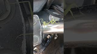 Grasshoper  Dancing insects grasshoppers insectslovers trendingshorts amazing mrsimplyvlogs [upl. by Landon]