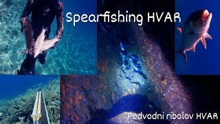 Podvodni ribolov HVAR  Spearfishing HVAR [upl. by Naesal486]