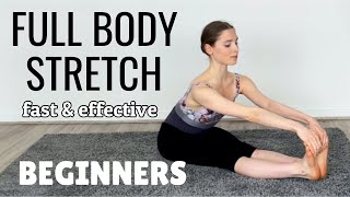 Stretches for the Inflexible Beginner Full Body Flexibility Routine [upl. by Kape]