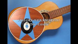 ALEGRE Y ENAMORADO Trio Estrella merengue [upl. by Ecidna409]