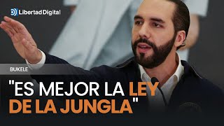 Bukele describe a la perfección el Gobierno de Sánchez quotEs mejor la ley de la junglaquot [upl. by Toblat]