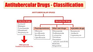 54 Antitubercular Drugs  Classification of Antitubercular Drugs According to First amp 2nd Lines [upl. by Ynatsyd]