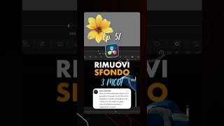 51100 ✏️ Rimuovi lo Sfondo FACILE davinciresolve tutorialitaliano videoediting [upl. by Eedia]