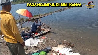 Ikanya Ngumpul di sini [upl. by Ulrika]