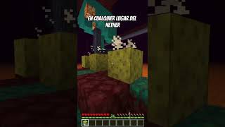 Cómo SECAR ESPONJAS en MINECRAFT [upl. by Seppala]