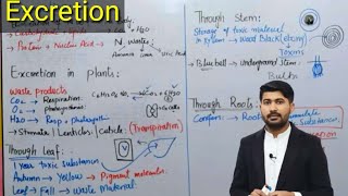 Excretion  Excretion in Plants class 12 biology by Irtisams biology [upl. by Arrak]