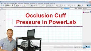 Blood Pressure Cuff in PowerLab [upl. by Nadbus]