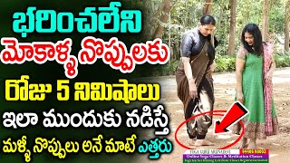 రోజు 2 ఆకులు తింటే మోకాళ్ళ నొప్పులు తగ్గి తొక్కుడు బిళ్ళ ఆడేస్తారు  Knee Pain Relief  Aruna Yoga [upl. by Egarton]