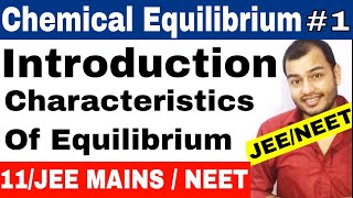 Class 11 chapter 7  Equilibrium  Chemical Equilibrium 01  Introduction  IIT JEE MAINS  NEET [upl. by Capello]