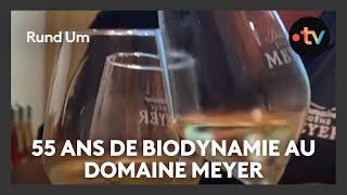 Domaine Meyer pionnier des vins biodynamiques [upl. by Cassius]