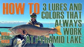 Fly Fishing Video Report  Pyramid Lake  late September 2018 [upl. by Llerahc]