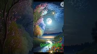 GOOD NIGHT Video [upl. by Alyss]