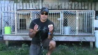 SPORT DOG TEK 10 TRACKING GEAR Demo amp Review [upl. by Irving]