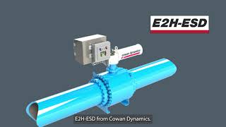 How do Electrohydraulic Actuators Work with ESD Emergency Shutdown Valves [upl. by Emlynn273]